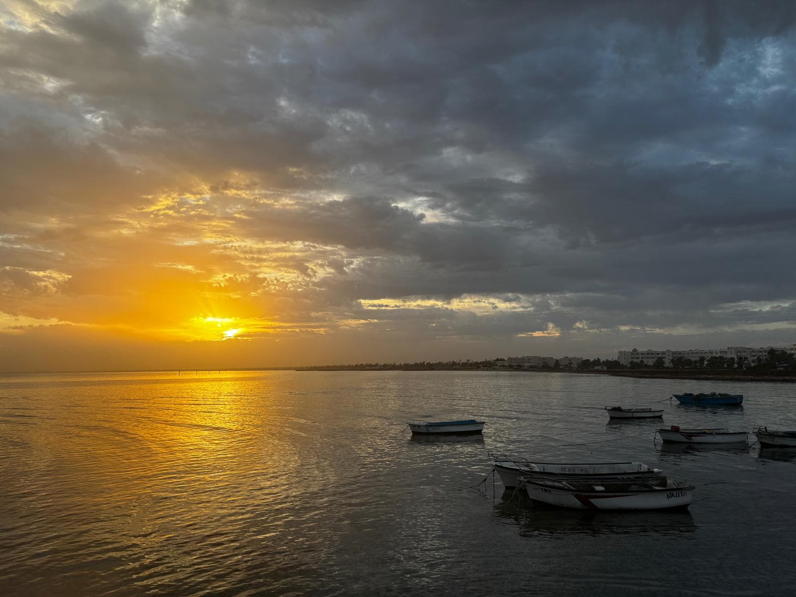 Retraite Bien-Être à Djerba